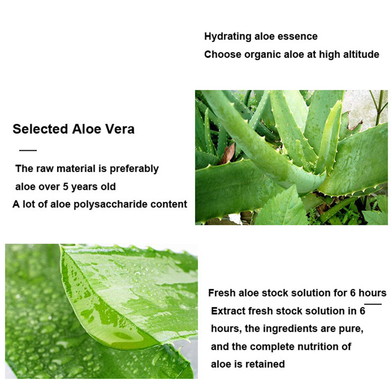 10pcs Aloe Vera Glue Sleeping  - Bentonite Clay Mask บทวิจารณ์และราคา